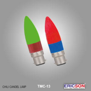 T-Shirt Raw Hem Organic Boro Constrast Denim