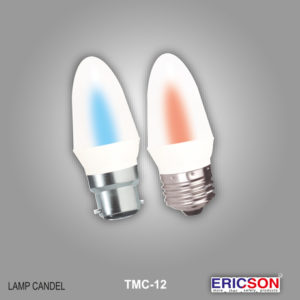 T-Shirt Raw Hem Organic Boro Constrast Denim